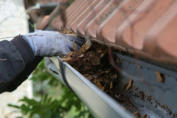 Gutter Cleaning during the fall in Colorado