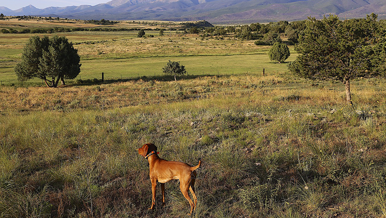 aspen-colorado-humidity.png