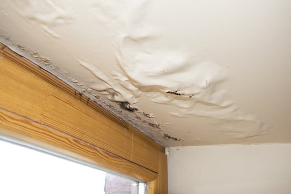 Water Damage and Roofing of Lakeway