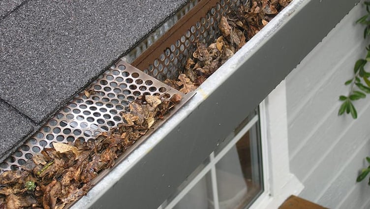 debris filled gutters